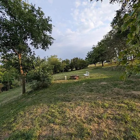 Apartment Kisház A Zselicben Zselickisfalud